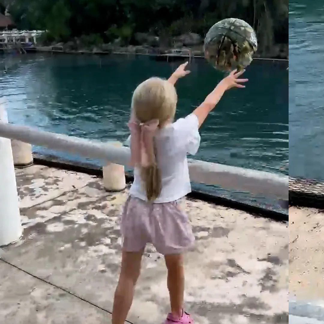 A curious girl spots a playful dolphin. Then pure magic unfolds.